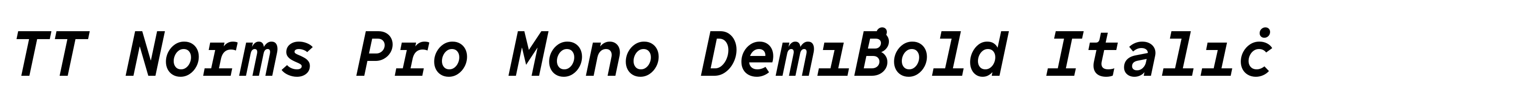 TT Norms Pro Mono DemiBold Italic